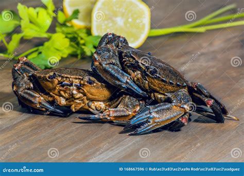  Necora: ¡Un crustáceo que sabe de camuflaje y deliciosos banquetes!