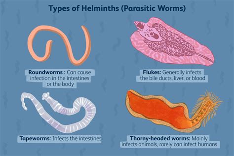  Kirklandtrema: ¡Un Gusano Trematodo que Te Hará Revisar Dos Veces tu Plato de Pescado!